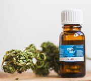 Vente de produits extraits du cannabis : ce que l’on sait des effets du cannabidiol