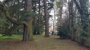 Bourgoin-Jallieu : un programme immobilier menace un parc d’arbres centenaires