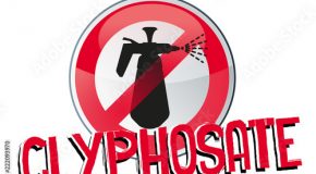 10 ans de plus pour le Glyphosate !
