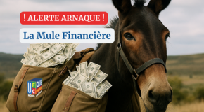 ⚠️ Arnaque à la « mule financière »