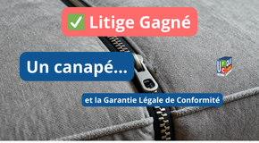 ✅ Litige Gagné : Roche Bobois et la Garantie Légale de Conformité