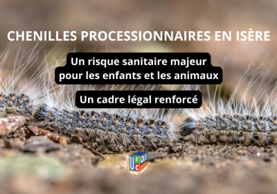 🌿 Chenilles processionnaires en Isère : un cadre légal renforcé
