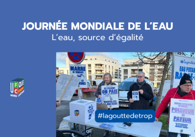 🌿 L’eau, source d’égalité : un enjeu mondial… et local