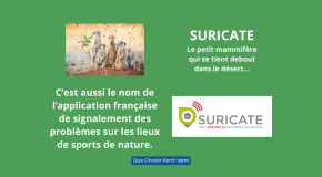 🌿 Suricate en Nord-Isère…