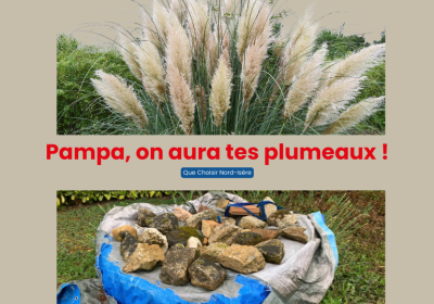 🌿 Pampa, on aura tes plumeaux !